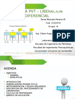 PVT - Liberacion Diferencial