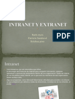 Intranet y Extranet