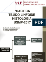 Usmp Practica - Tejidos Linfoides - 2017