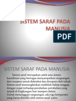 Sistem Saraf Pada Manusia