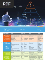 MembershipPyramid BCI PDF