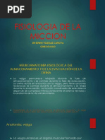 Fisiologia de La Miccion