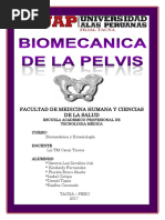 Monografia de Pelvis o