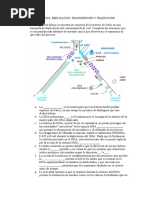 Taller de Genetica. Replicación, Transcripción y Traducción