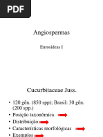 Aula 4 - Eudicotiledôneas Asterídeas