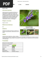 Hyptis Suaveolens - Plantas Tropicales Útiles