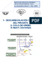 Ciclo de Krebs (Descarboxilación de Piruvato)