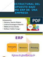 Diseño Estructural Del Presupuesto Bajo Esquema Erp de