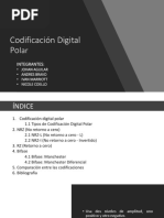 Codificacion Digital Polar