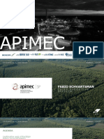 Klabin Apimec 2016 - Ing - 02 PDF