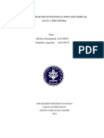 Laporan Praktikum Intensitas Penyakit Bercak Daun Cercospora1