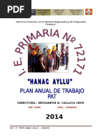 Pat - Iep - 2014