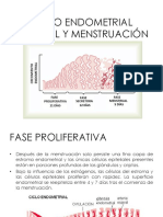 Ciclo Endometrial