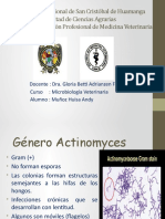 Actinomyces