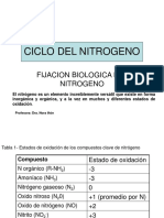 Nitrogeno Ciclo