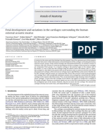 Fetal Development and Variations in The Cartilages Surrounding The Human External Acoustic Meatus