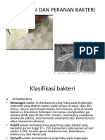 Klasifikasi Bakteri Dan Peranan