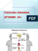 Fisiologia Endocrino