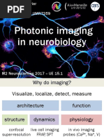 Master Course 2017 - Photonic Imaging in Neurobiology - C. Leterrier