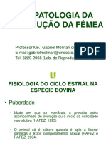 2 - Fisiologia Do Ciclo Estral Nas Especies Domesticas Gabriel