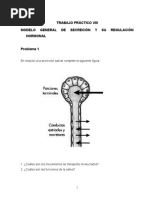 Modelo General de Secreción y Su Regulación Hormonal