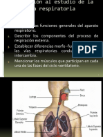 Funciones Del Sistema Respiratorio