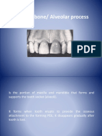 Alveolar Bone/ Alveolar Process