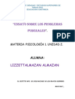 Ensayo Sobre Los Problemas Puberales