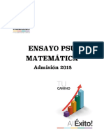 Ensayo Matemática Painequeo