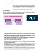 Marco Teorico y Discuciones Informe 2 Lab Microbiologia