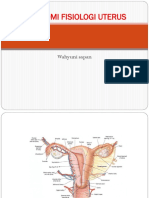 Anatomi Uterus