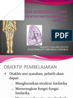 Struktur Dan Fungsi Sistem Limfatika