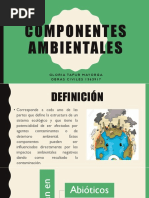 Componentes Ambientales