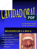 10.-Cavidad Oral y Fosas Nasales