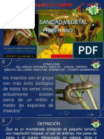 Sanidad Agrícola 2017