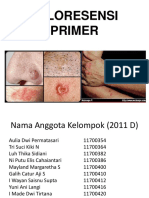 Efloresensi Primer (Kelompok Mayland)