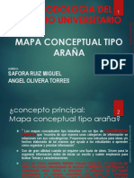 Mapa Conceptual Tipo Araña