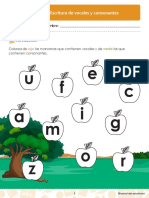Escritura Consonante y Vocales PDF