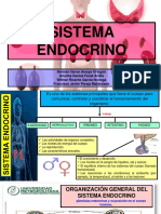 Sistema Endocrino