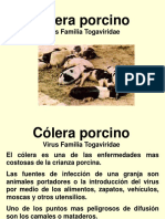 Colera Porcino