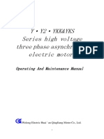 Manual of 725HP 10KV Motor