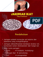 Histologi Jaringan Ikat - 3