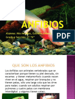 "Los Anfibios" (Power Point)