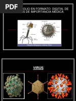 VIROLOGIA