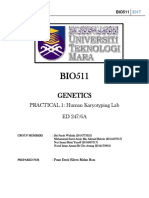 Lab Genetics 1