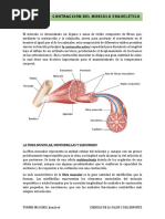 TEMA 6 - Ciencias Del Salud y Del Deporte