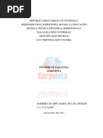 Informe Pasantias MDLA