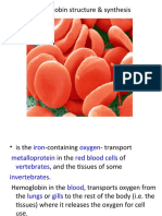 Hemoglobin Structure & Synthesis