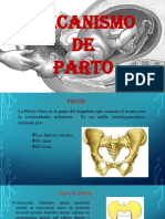 PDF Documento