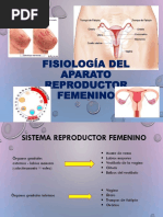 Fisiologia Del Aparato Reproductor Femenino